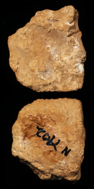 N7902