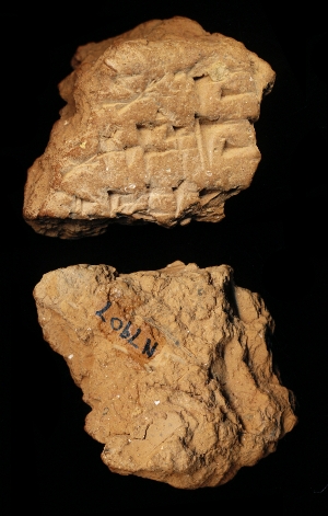 N7907