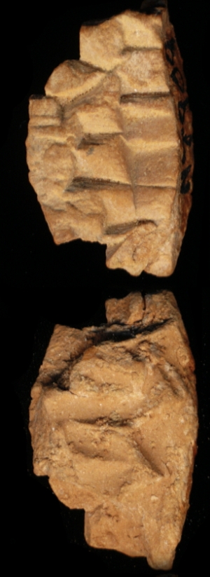 N7909