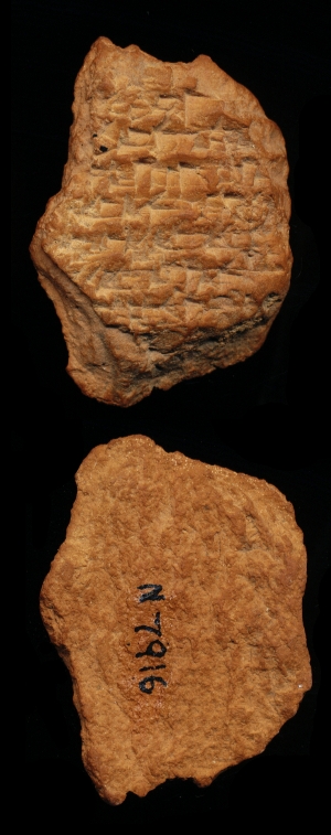 N7916