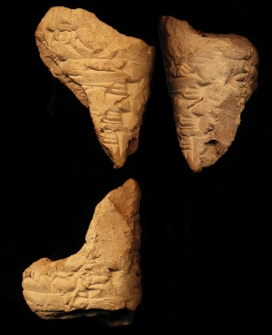 N7921