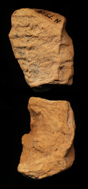 N7924