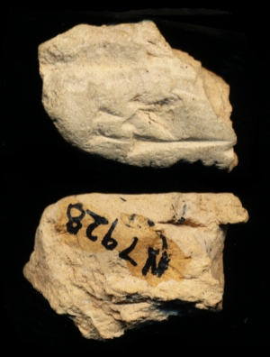 N7928