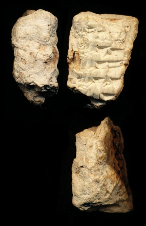 N7929