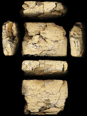 33-58-113