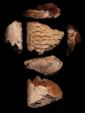 33-58-51