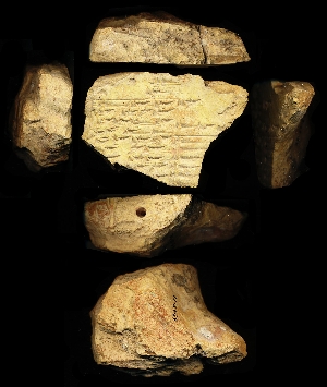 33-58-64