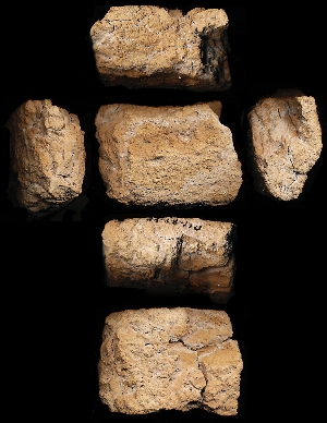 33-58-110