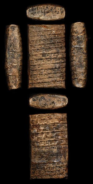 55-21-244