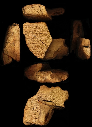 N3691