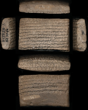 52-30-50