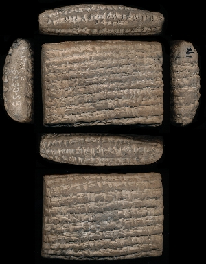 52-30-55
