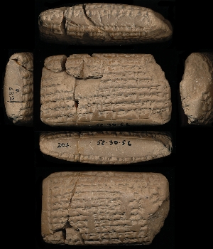 52-30-56
