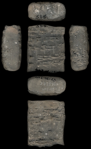 52-30-204