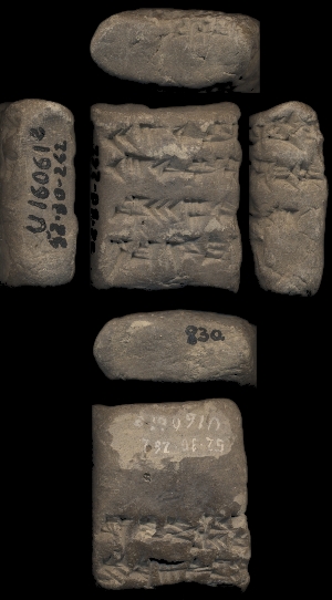 52-30-262