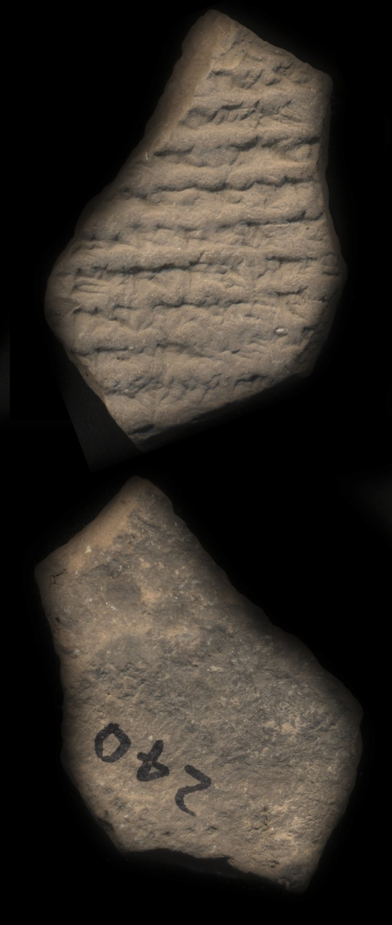 813686