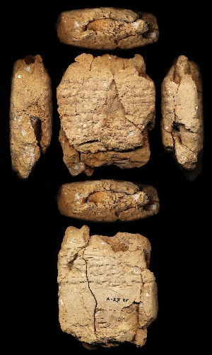 33-58-4