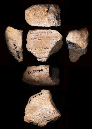 33-58-40