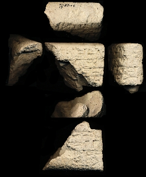 33-58-61