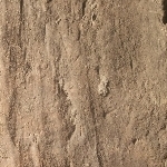 813921