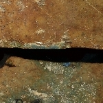 814050
