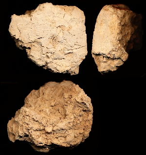 37-35-110