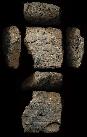 CG94-23-1