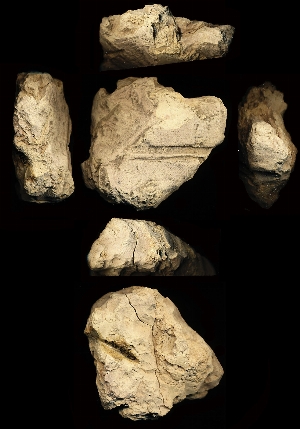 CG94-23-12