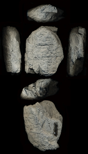 CG94-23-29