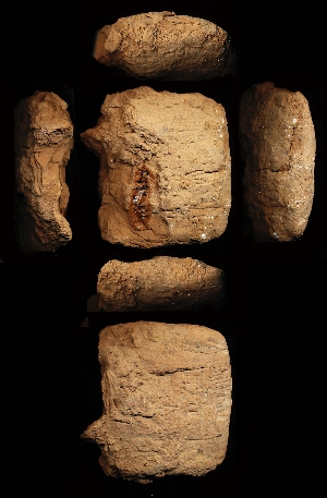CG94-23-31
