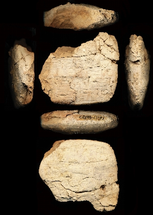 CG94-23-51
