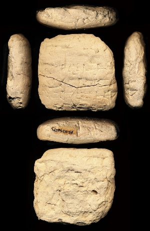 CG94-23-53