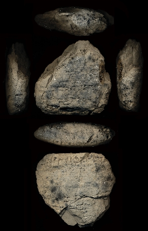 CG94-23-61