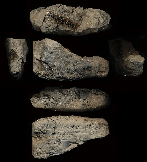 CG94-23-63