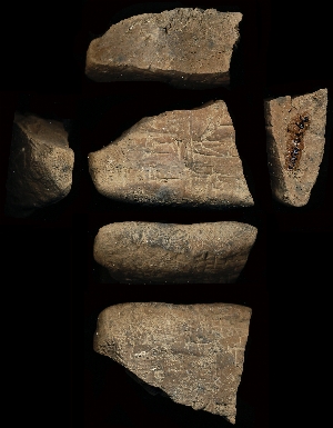 CG94-23-66