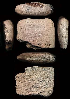 CG94-23-73