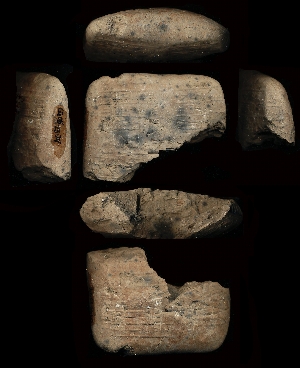 CG94-23-79
