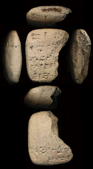 CG94-23-96