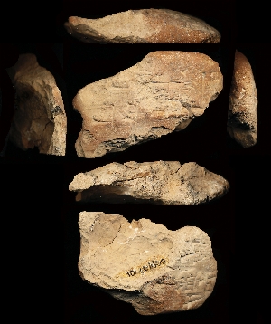 CG94-23-101