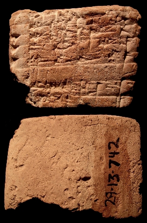 29-13-742