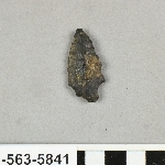 815557