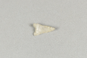 53-19-34