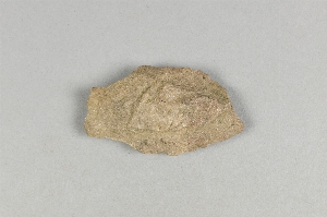 97-563-9163