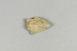 97-563-9320