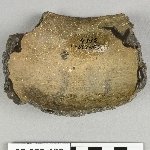 816461