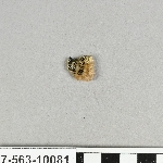 816943