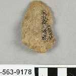 817038