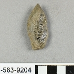 817426