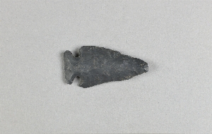 29-112-213