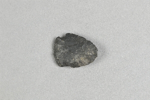 29-112-231